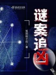 谜案追凶电视剧全集在线免费观看中文版